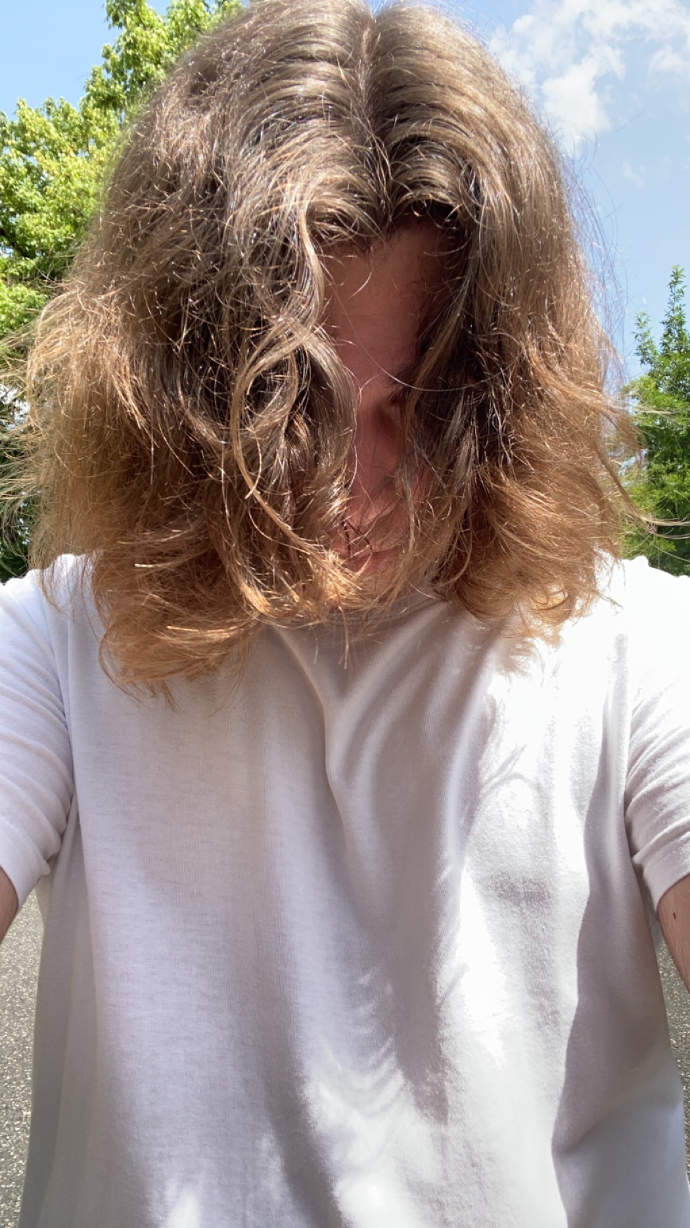 Perfil de Pierre-gabriel