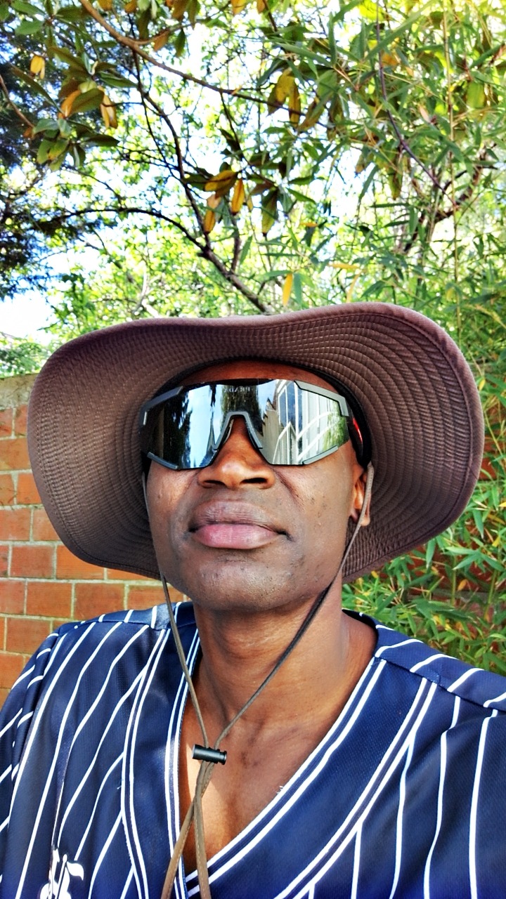 Perfil de Shams-eddine