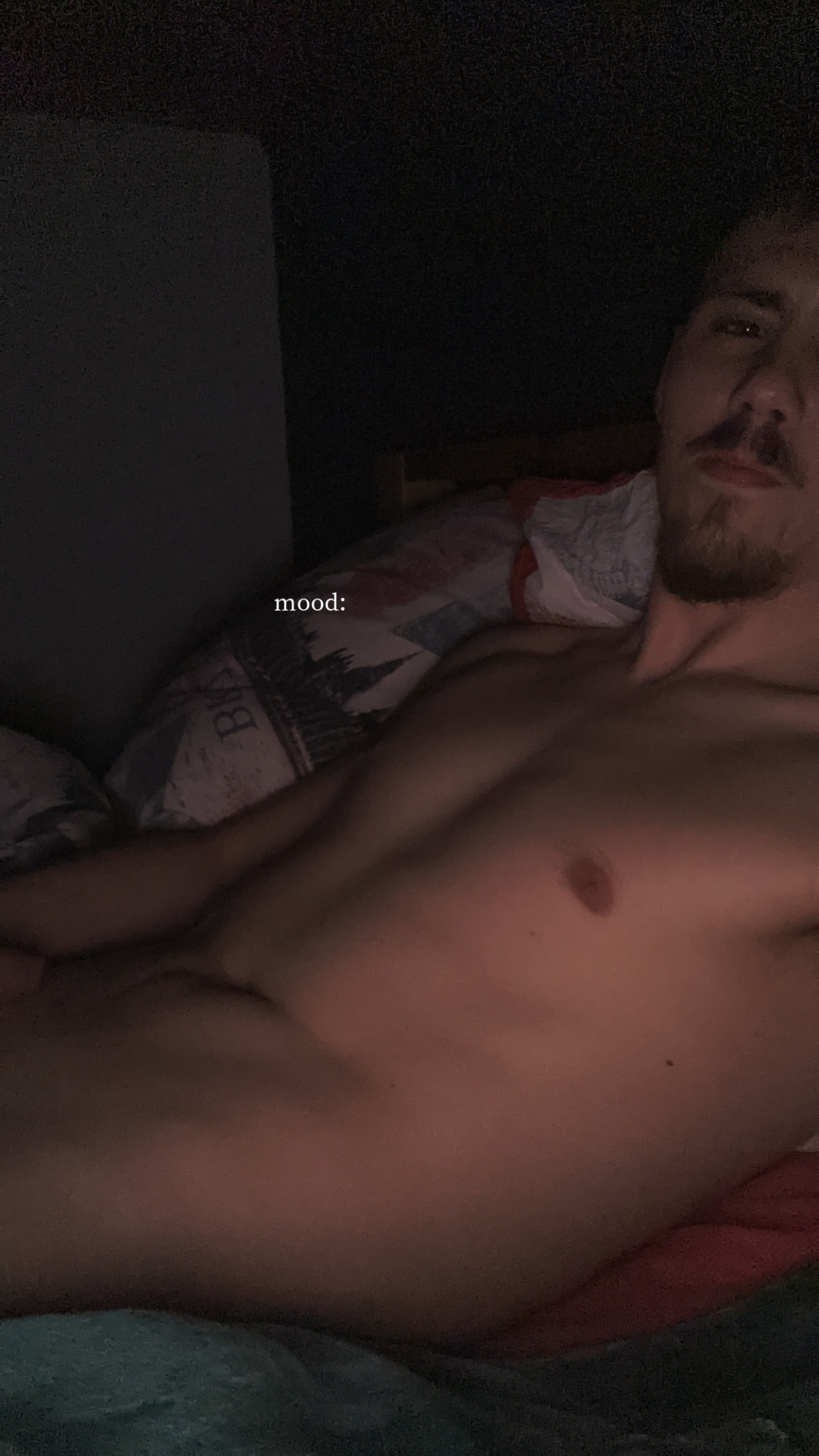 Perfil de Constantino